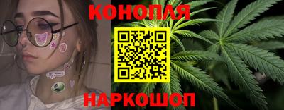 Альфа ПВП Обнинск