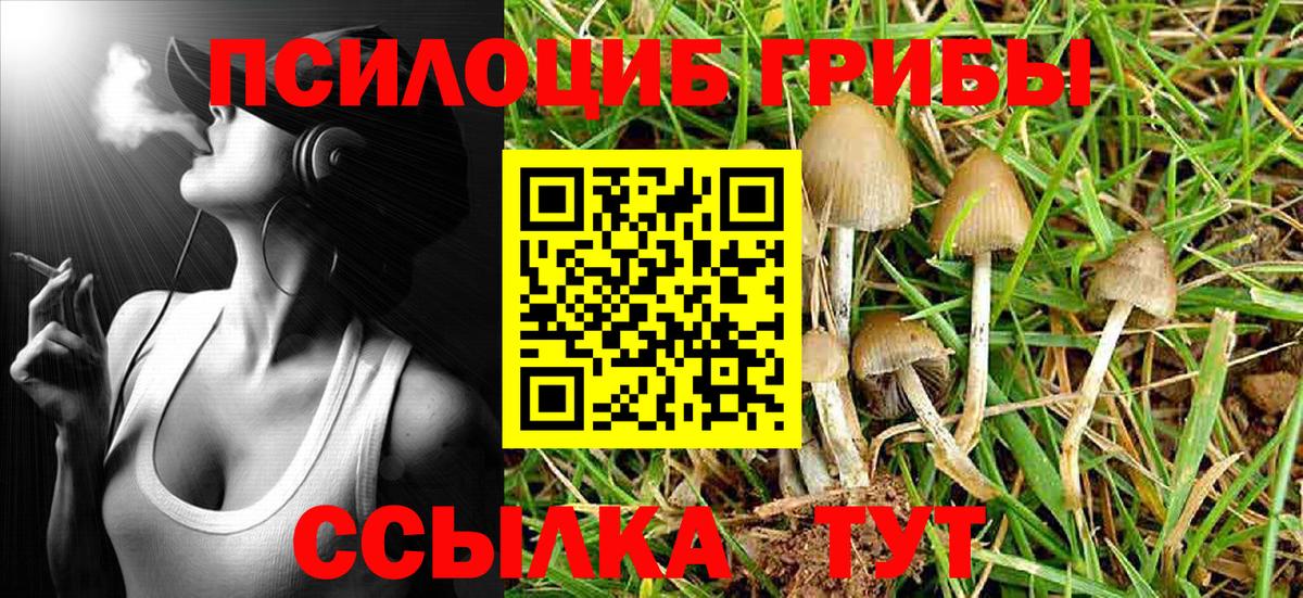 Белгород  Псилоцибиновые грибы Psilocybe  Вход с VPN 